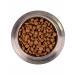 MONGE Adult dog feed of all breeds with beef and rice 12 kg - Buy Online on GoSupps.com