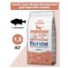 MONGE Dry food for adult cats with salmon 1.5 kg