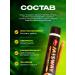 Miswak Toothpaste whitening India Misvak coal - Buy Online on GoSupps.com