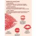 KLOG Lipstick tint balm Korean set set 4pcs - Buy Online on GoSupps.com