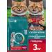 PURINA ONE Dry food for sterilized cats with beef 3 kg - Buy Online on GoSupps.com