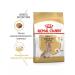 ROYAL CANIN Yorkshire Terrier 8+ for dogs 500 gr - Buy Online on GoSupps.com