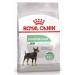 ROYAL CANIN Mini digestive car for dogs 1 kg - Buy Online on GoSupps.com