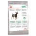 ROYAL CANIN Mini digestive car for dogs 1 kg - Buy Online on GoSupps.com