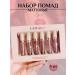 Lion's Oasis Lipstick liquid matte set 6 pcs