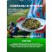 FitoContinent Herbal collection for the intestine anti -inflammatory 50 g - Buy Online on GoSupps.com