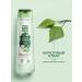 Clean line Birch shampoo for the whole family 400 ml - Buy Online on GoSupps.com
