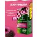 HERBS OF BASHKIRIA Herbal collection of echinacea for immunity from colds and flu