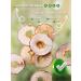 AMEDEO Dried apple chips 1 kg - Buy Online on GoSupps.com