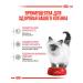 ROYAL CANIN Dry food kittens 2kg - Buy Online on GoSupps.com