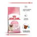 ROYAL CANIN Mother and Babycat dry kittens 2kg - Buy Online on GoSupps.com