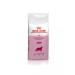 ROYAL CANIN Queen for cats during estrus pregnancy and lactation 4 kg - Buy Online on GoSupps.com