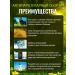 YOUGURU Antiparasitic collection No. 1 - 120 capsules - Buy Online on GoSupps.com