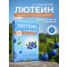 Vitamins for children and teenagers Vitamins for the eyes of Luthein with blueberries 30 tab