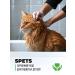 Spets Shampoo for cats and cats kittens hypoallergenic 250 ml - Buy Online on GoSupps.com
