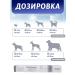 Protein Prokolin plus a probiotic for cats and dogs 15 ml - Buy Online on GoSupps.com