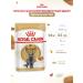 ROYAL CANIN Wet food for cats British shorthair sauce 28*85 g - Buy Online on GoSupps.com