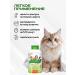 GreenFort neo Flea shampoo for cats rabbits and dogs GreenFort 380 ml - Buy Online on GoSupps.com
