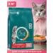 PURINA ONE Dry food for sterilized cats salmon 3 kg - Buy Online on GoSupps.com