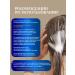 BONMARITO Filler for hair restoration - Buy Online on GoSupps.com