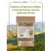 FitoWay Astragal root of the web 120 gr - Buy Online on GoSupps.com