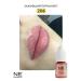 NE Pigments Permanent Makeup Pigment for Lips 206 Ash Rose 10ml - Buy Online on GoSupps.com