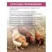 SKYAGRO Additive Betacordplex with phyto antibiotics for birds and chickens - Buy Online on GoSupps.com
