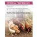 SKYAGRO Premix and vitamins for chickens for laying and broilers - Buy Online on GoSupps.com