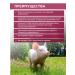 SKYAGRO Babate additive vitamins for pigment growth and piglets - Buy Online on GoSupps.com