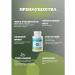 Multipro Magnesium Tauratmalatcitetbisglitsinate Vitamin B9 B12 - Buy Online on GoSupps.com