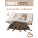 Yamme Dry food for kittens with salmon 5 kg of yammi holistic - Buy Online on GoSupps.com