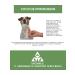 Natura Delix Flea and dog ticks collar - Buy Online on GoSupps.com