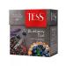 TESS Black tea in pyramids Blueberry Tart 4pcs. Blueberry tart - Buy Online on GoSupps.com