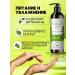 SHEIDA Hand and body lotion with aloe and oil - Buy Online on GoSupps.com
