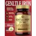 SOLGAR Gentle Iron "easily accessible iron" 25 mg