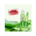 astracos Hygienic lipstick aloe vera - Buy Online on GoSupps.com