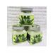 Naturalis Scrub Piling for Body Anti -cellulite aloe vera - Buy Online on GoSupps.com