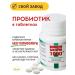 EKKO PLUS Probiotic in bifidumbacterin-1000 No. 30
