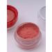 Petro Cosmetics Dry face blush - Buy Online on GoSupps.com