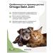 O2 Pets Vitamins for dogs and cats Joint 500 ml. For joints - Buy Online on GoSupps.com