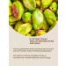 BLESSING Urbech from activated pistachios 100 g - Buy Online on GoSupps.com