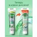 Forest balsam Toothpaste from caries and plaque with ginger extract 3pcs - Buy Online on GoSupps.com