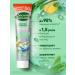 Forest balsam Toothpaste from caries and plaque with ginger extract 3pcs - Buy Online on GoSupps.com
