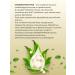 Spring of Health Symbiotic + superfood (Asai Coji Noni Magnustin Chia) - Buy Online on GoSupps.com
