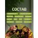 Phytomore Herbal collection detox 80 g - Buy Online on GoSupps.com