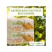 Belev product Pastil Belevskaya dietary with sea buckthorn