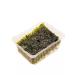 Made in Korea Sea cabbage dried 9pc 5 g Korea - Buy Online on GoSupps.com
