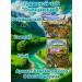 Secrets of the Caucasus Herbal tea "Cleaning" 70g