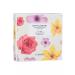 THE SAEM Set of hand creams - Buy Online on GoSupps.com