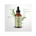 Mielle Organics Shampoo + hair growth with biotin - Buy Online on GoSupps.com